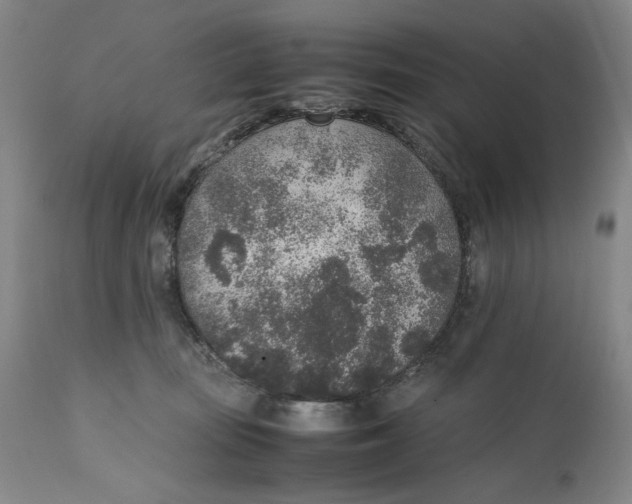 X0000111650371200908071414