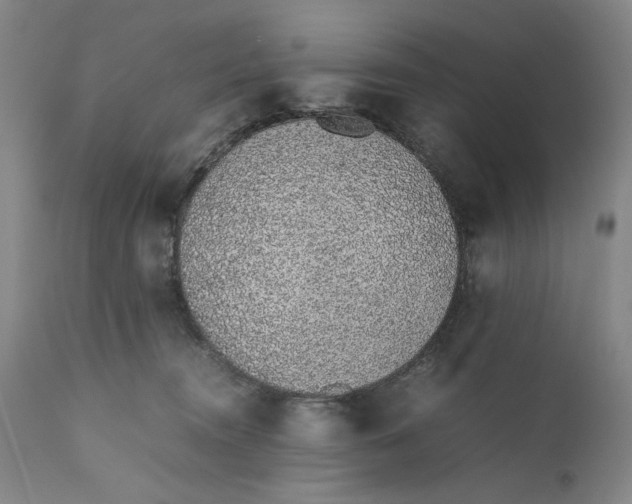 X0000111650372200908071414