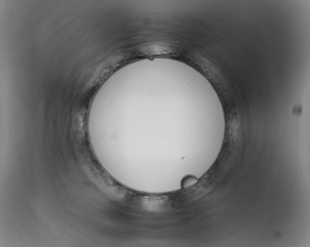 X0000111650373200908071414