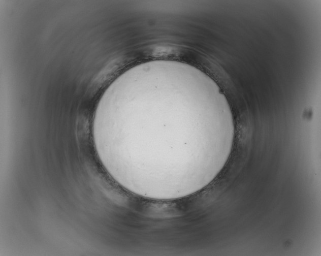 X0000111650375200908071414