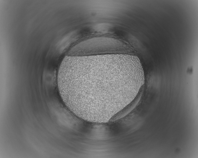 X0000111650376200908071414