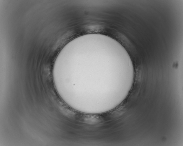 X0000111650377200908071414