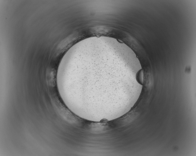 X0000111650378200908071414