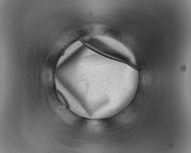 X0000111650380200908071414