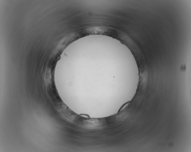 X0000111650381200908071415