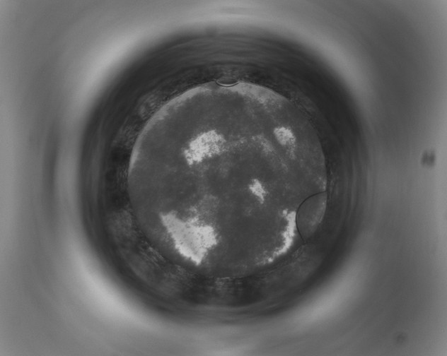 X0000111650383200908071415