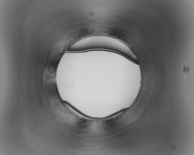 X0000111650384200908071415