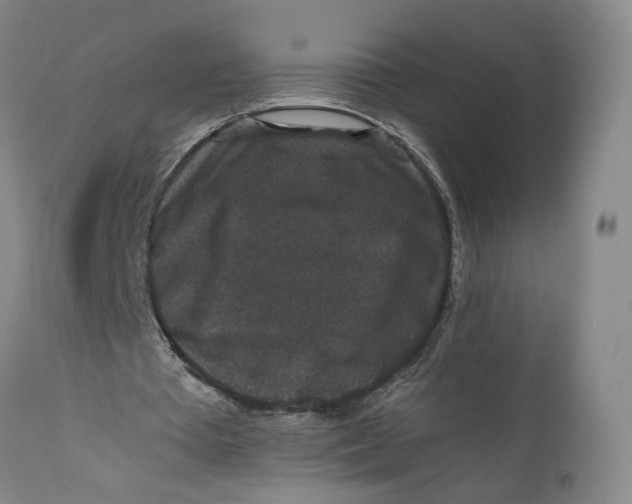 X0000111650385200908071414