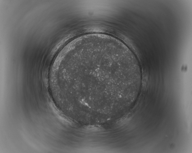 X0000111650386200908071414