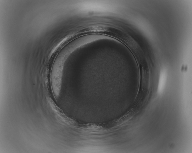 X0000111650387200908071414