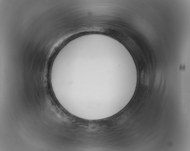 X0000111650388200908071414