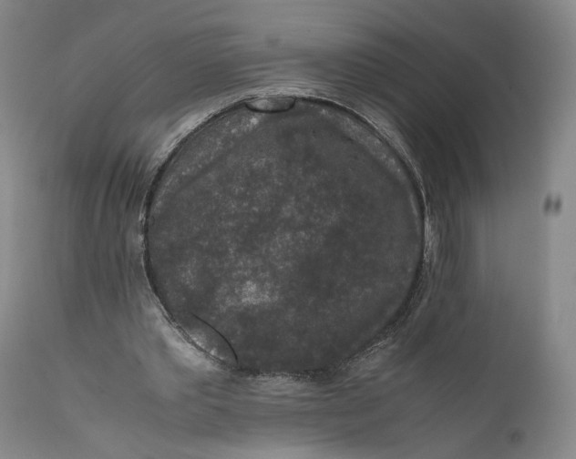 X0000111650389200908071414