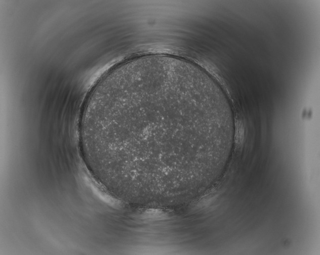 X0000111650390200908071414