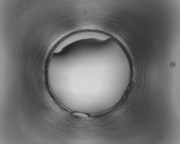 X0000111650391200908071414