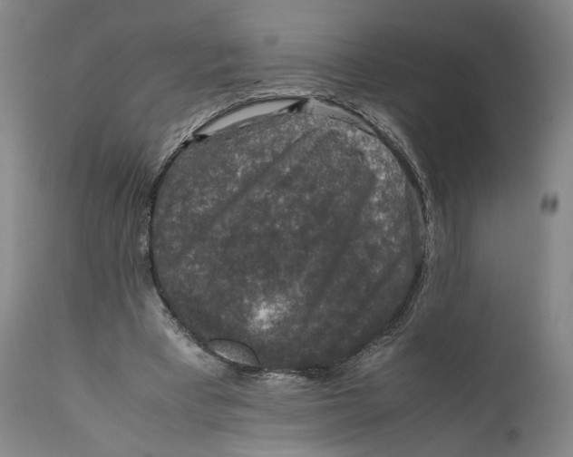 X0000111650393200908071414