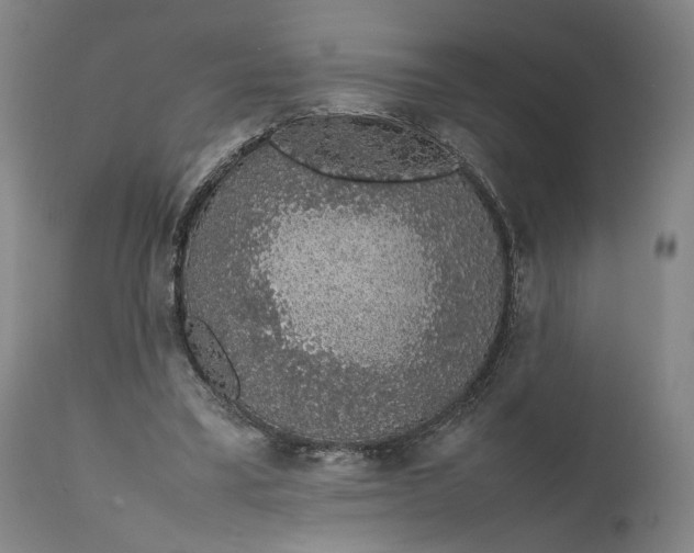 X0000111650395200908071414