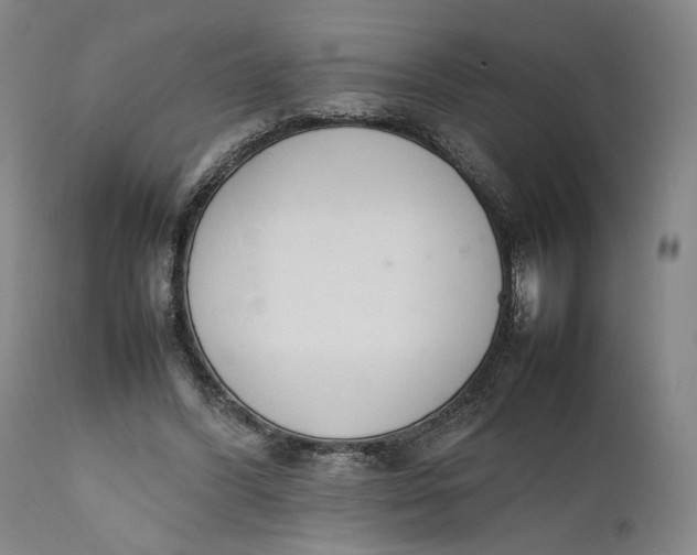 X0000111650396200908071414