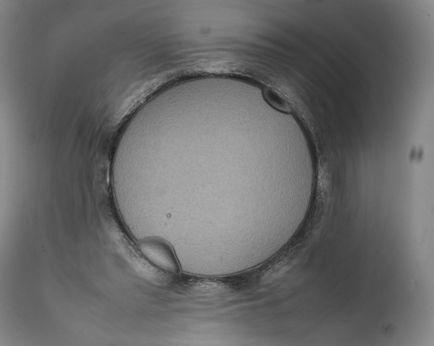 X0000111650397200908071413