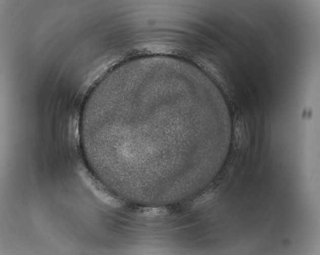 X0000111650398200908071413