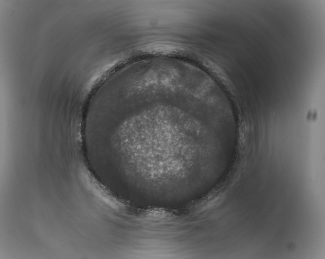 X0000111650399200908071413