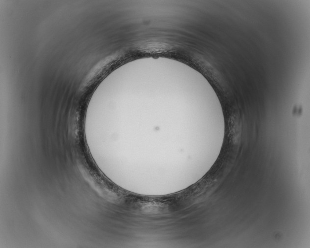 X0000111650400200908071413