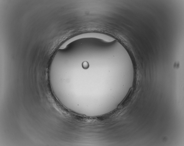 X0000111650401200908071413