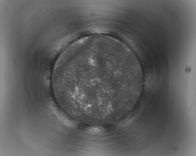 X0000111650402200908071413