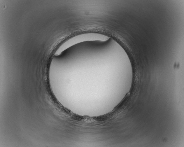 X0000111650403200908071413