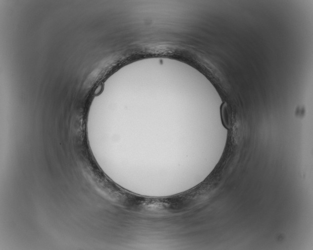 X0000111650407200908071413