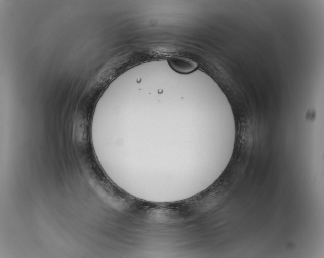 X0000111650408200908071413