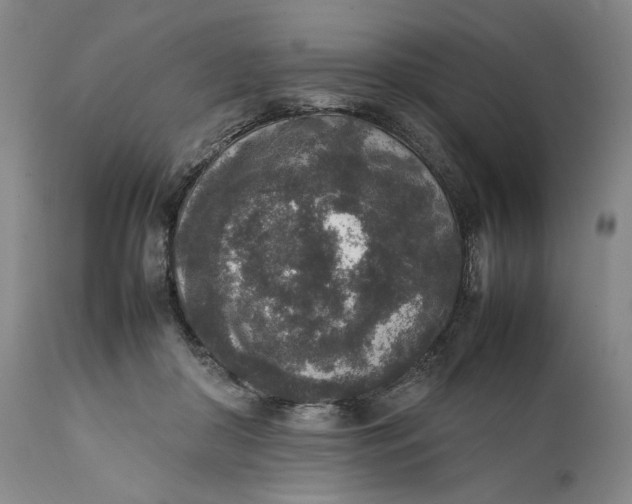 X0000111650410200908071413