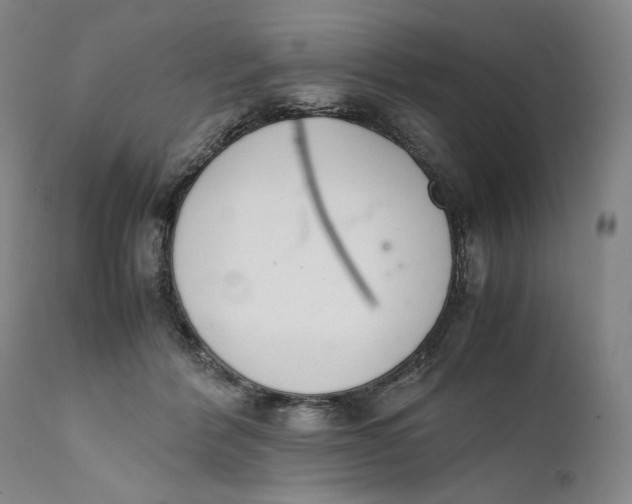 X0000111650412200908071413