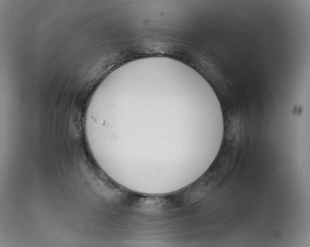 X0000111650414200908071413