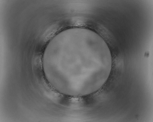 X0000111650415200908071413