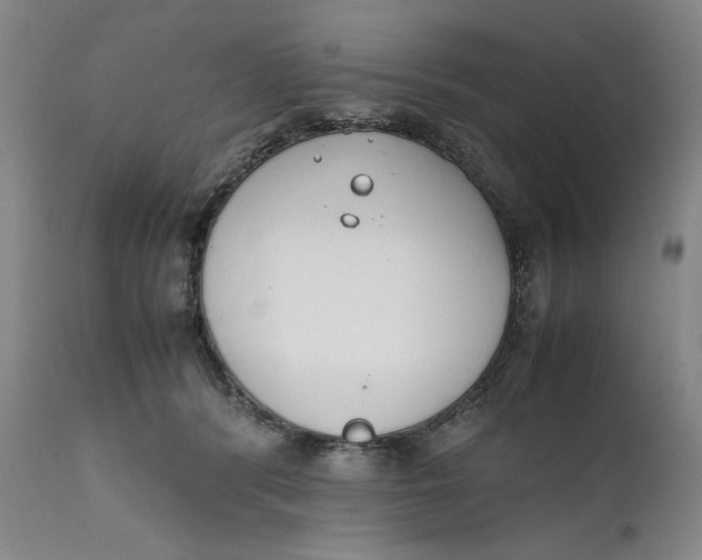 X0000111650416200908071413