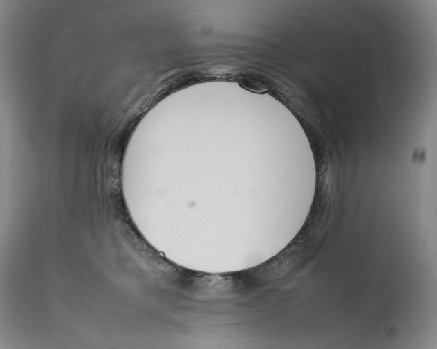 X0000111650421200908071413
