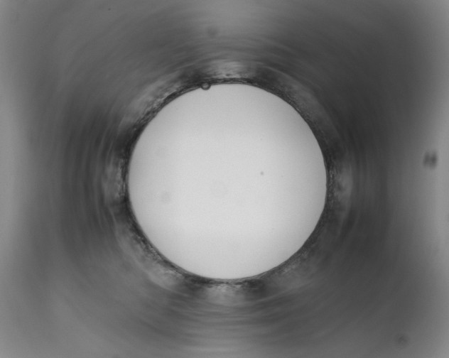 X0000111650422200908071413