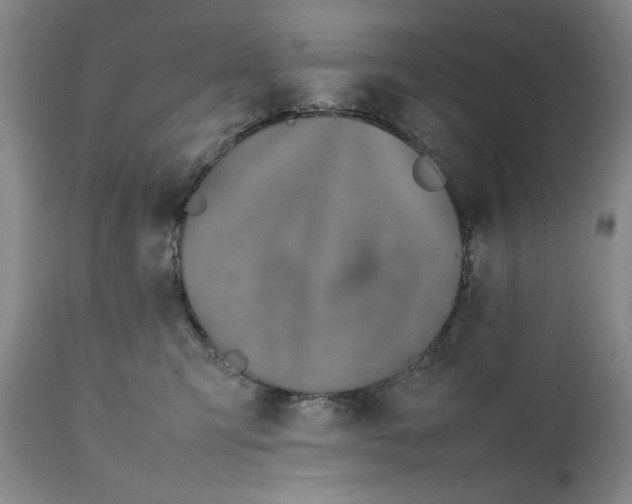 X0000111650423200908071413