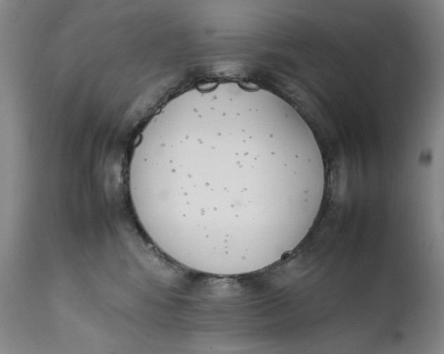 X0000111650424200908071413
