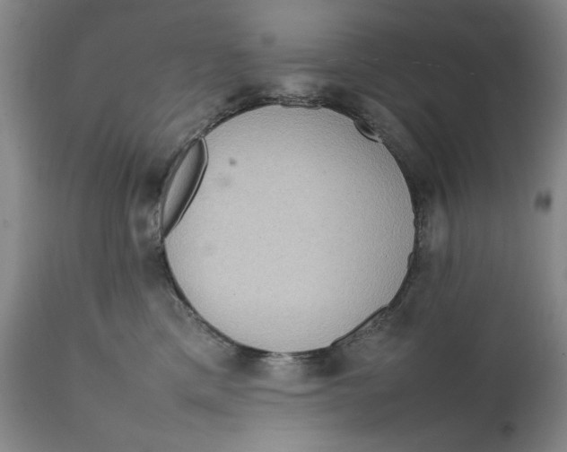 X0000111650425200908071413
