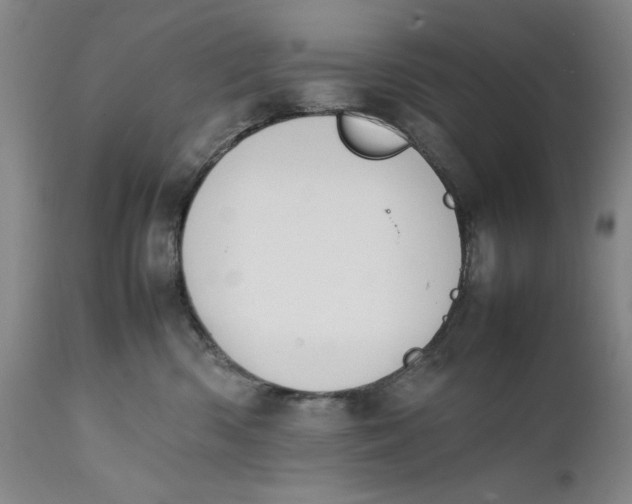 X0000111650426200908071413