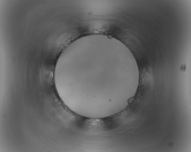 X0000111650427200908071413