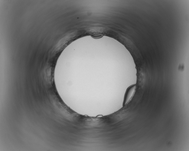 X0000111650428200908071413