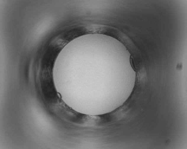 X0000111650429200908071413