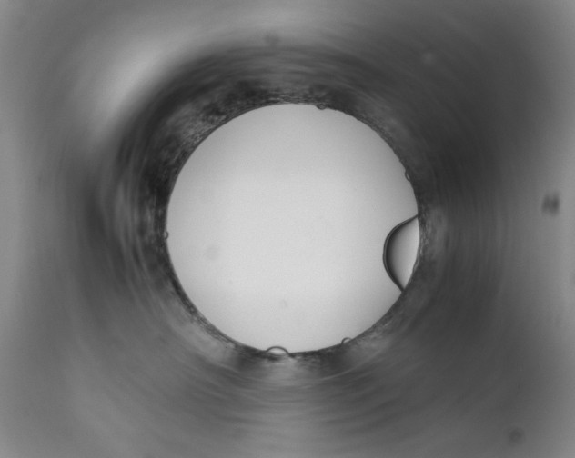 X0000111650430200908071413