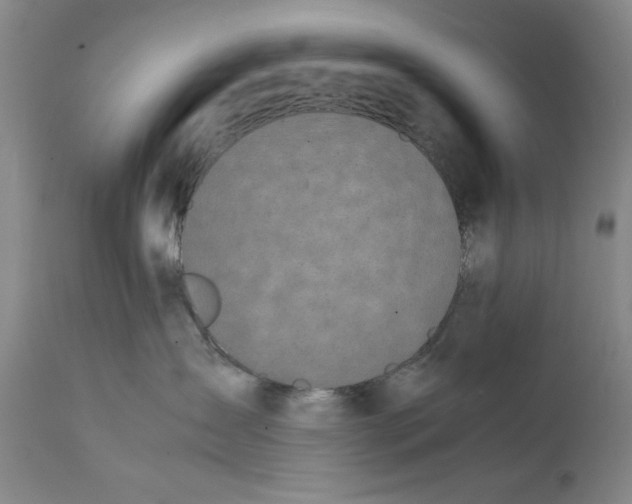 X0000111650431200908071413