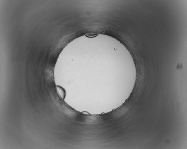 X0000111650432200908071413