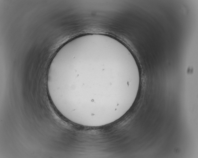X0000111650433200908071412