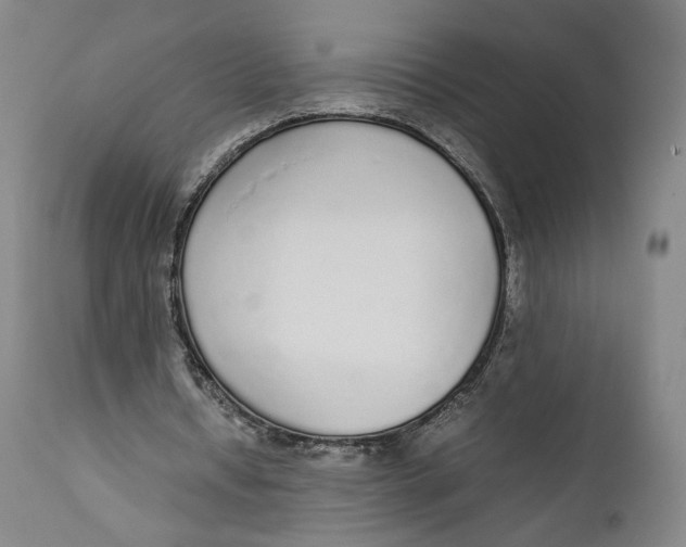 X0000111650434200908071412