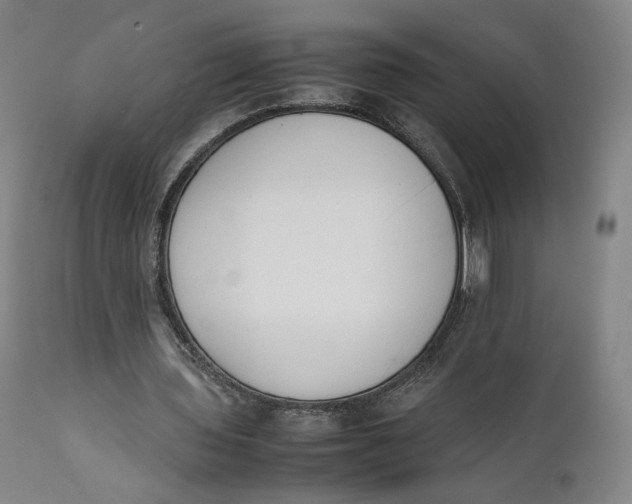 X0000111650435200908071412